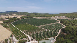 Finca Torrevella, Pasión por la Agricultura.